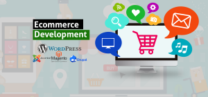 Desenvolvimento de E-commerce